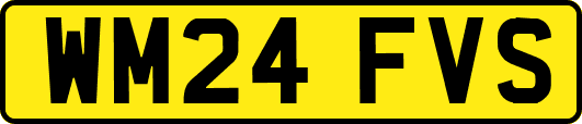 WM24FVS