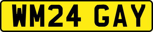 WM24GAY