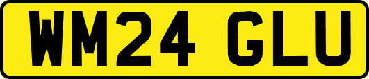 WM24GLU