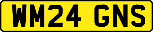 WM24GNS
