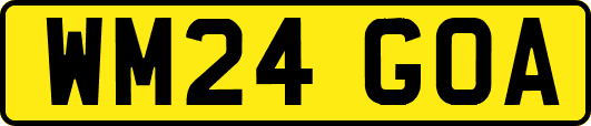 WM24GOA