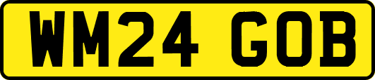 WM24GOB