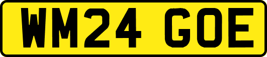 WM24GOE