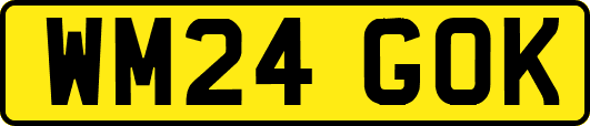 WM24GOK