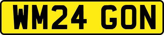 WM24GON