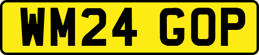 WM24GOP
