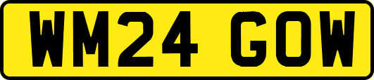 WM24GOW