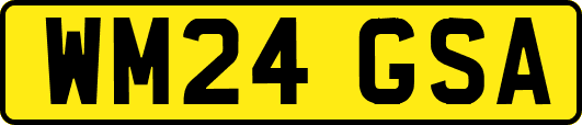 WM24GSA