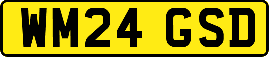 WM24GSD