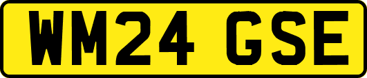 WM24GSE