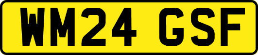 WM24GSF