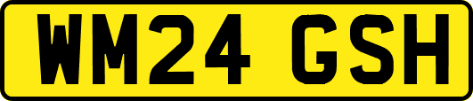 WM24GSH
