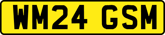 WM24GSM