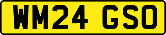 WM24GSO