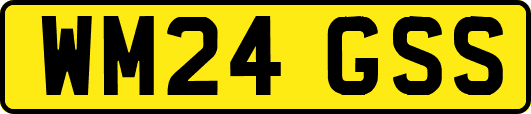 WM24GSS