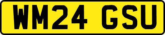 WM24GSU