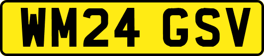 WM24GSV