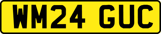 WM24GUC