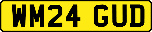 WM24GUD