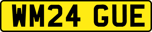 WM24GUE