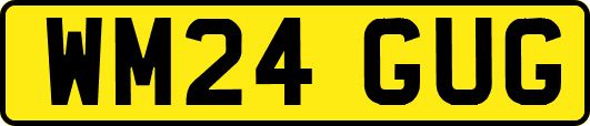 WM24GUG