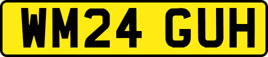 WM24GUH