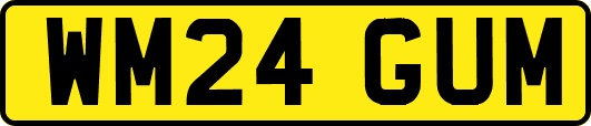 WM24GUM