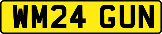 WM24GUN