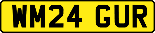 WM24GUR