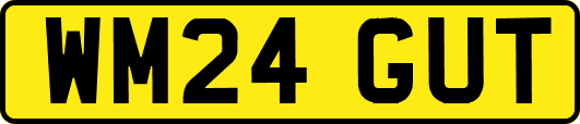 WM24GUT