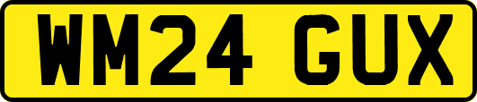WM24GUX
