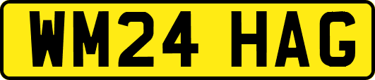 WM24HAG