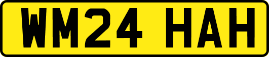 WM24HAH