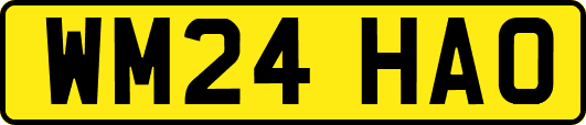 WM24HAO