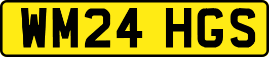 WM24HGS