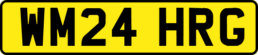 WM24HRG
