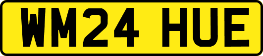 WM24HUE
