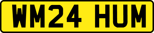 WM24HUM