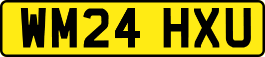 WM24HXU