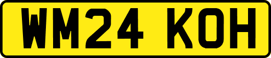 WM24KOH