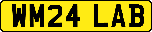 WM24LAB