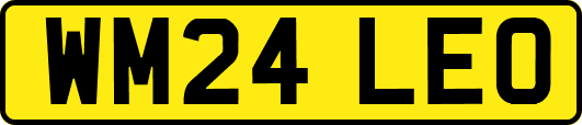 WM24LEO