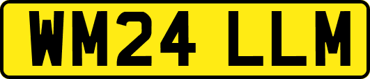 WM24LLM