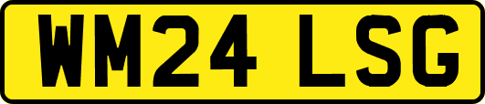 WM24LSG