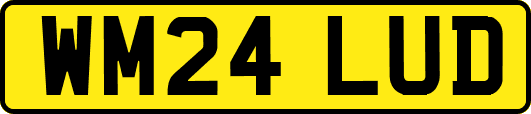 WM24LUD