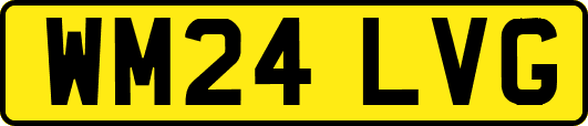 WM24LVG