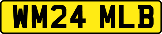 WM24MLB