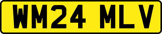 WM24MLV