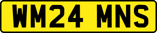 WM24MNS
