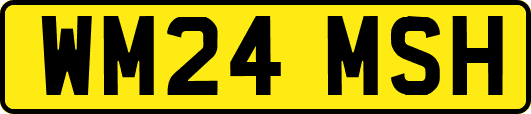 WM24MSH